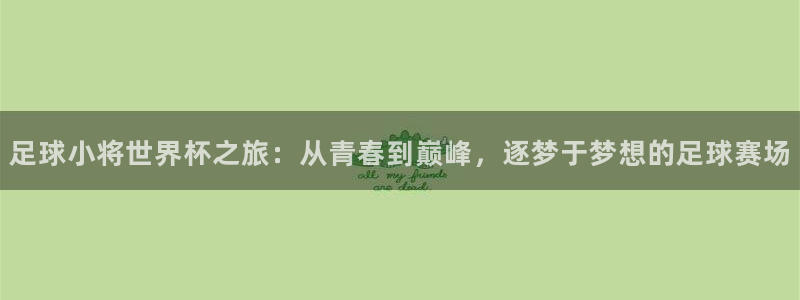 英格兰联赛杯直播:足球小将世界杯之旅:从青春到巅峰,逐梦于梦想的足球赛场