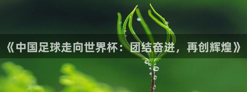 2006年世界杯:《中国足球走向世界杯:团结奋进,再创辉煌》