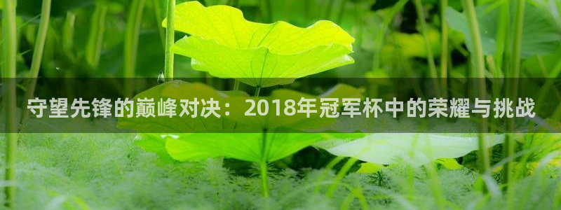 世界杯直播在线观看入口:守望先锋的巅峰对决:2018年冠军杯中的荣耀与挑战