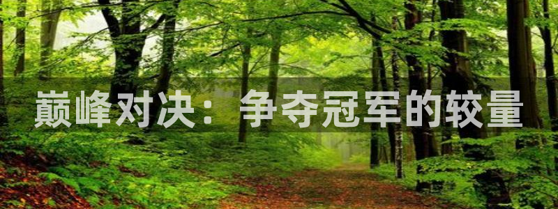 世界杯预选赛:巅峰对决:争夺冠军的较量