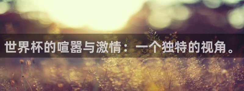 预选赛世界杯:世界杯的喧嚣与激情:一个独特的视角。