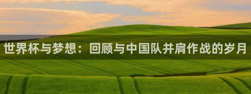 世界杯足球2026:世界杯与梦想:回顾与中国队并肩作战的岁月