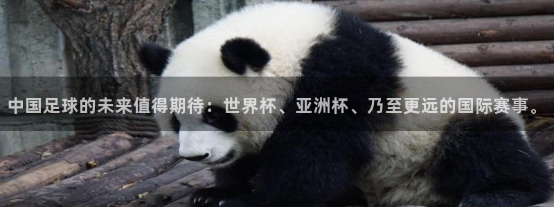 世界杯预选赛:中国足球的未来值得期待:世界杯、亚洲杯、乃至更远的国际赛事。